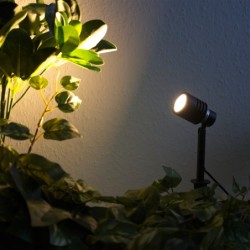 Faretto da giardino con lampadina LED sostituibile Nero 12V AC/DC 6W 3000K Bianco caldo