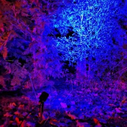 Foco de jardín GARTUS LED RGB+W 10W 12V IP65